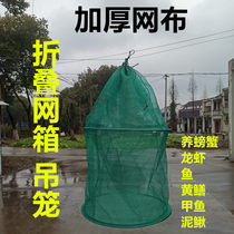 Fishing net box Folding round cage Lobster crab temporary cage cage Fish protection thickened a variety of fish and shrimp cage