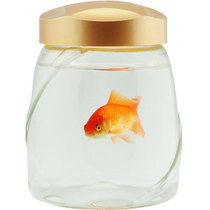 Gold PET plastic bottle 900ml ml empty bottle jar food dried fruit tea nut container plastic bucket