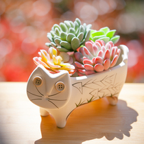 Ceramic fleshy flowerpot pottery cute cat flower device breathable plant big face cat personality large home furnishings