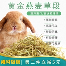 Australian wheat grass hay 500g can replace Timothy Australian imported golden oat grass pet rabbit food feed forage