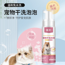 Pet Dry Cleaning Bubble Dog Cat Washable Shower Gel Deodorant Fragrance Bath Shampoo Rabbit Small Pet Cleaning