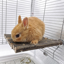 Rabbit apple wood platform grinding teeth to relieve boredom Totoro solid wood pedal jumping platform cage platform toy parrot stand pole