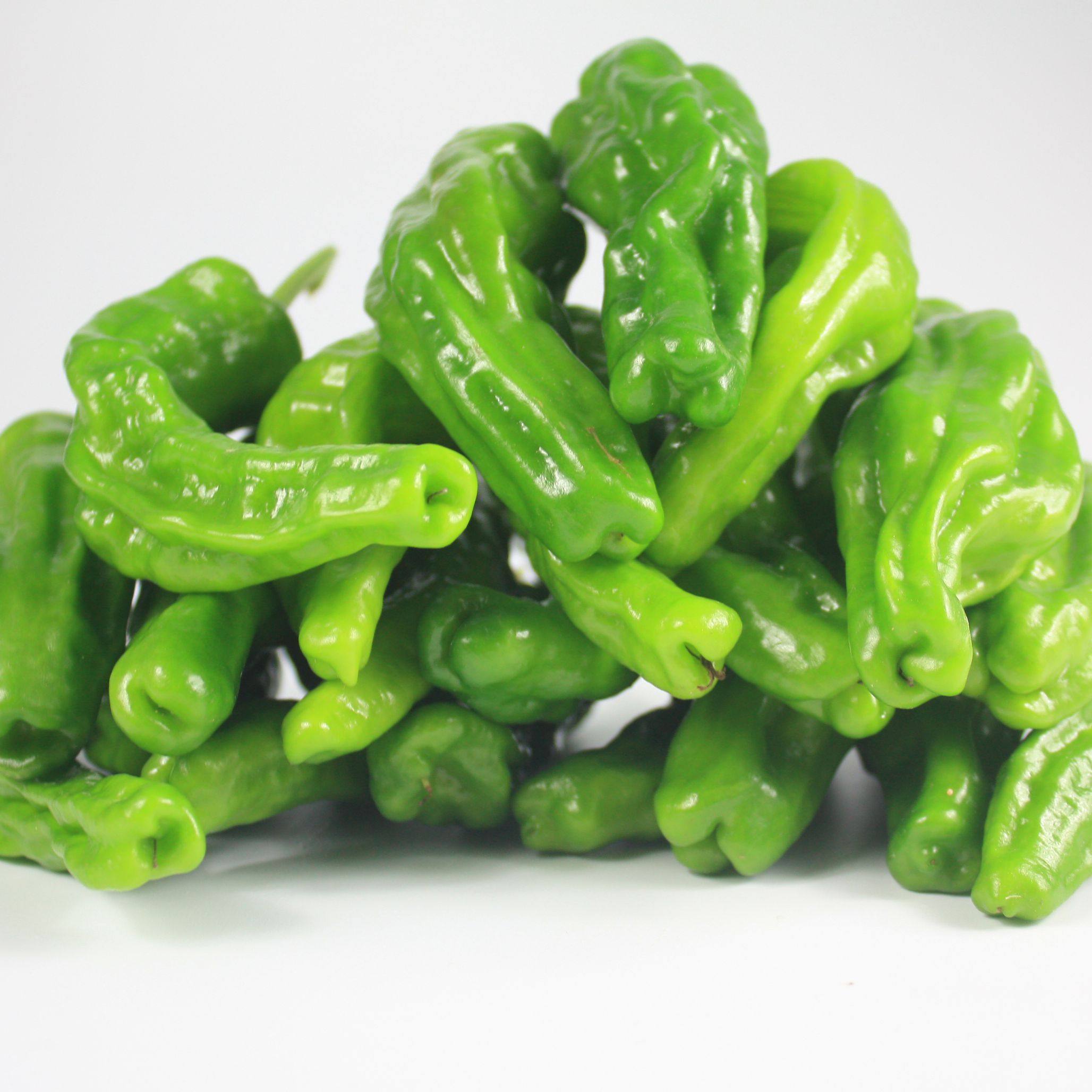 枣庄薄皮青辣椒辣子鸡专用新鲜农家自种生鲜蔬菜500g包邮