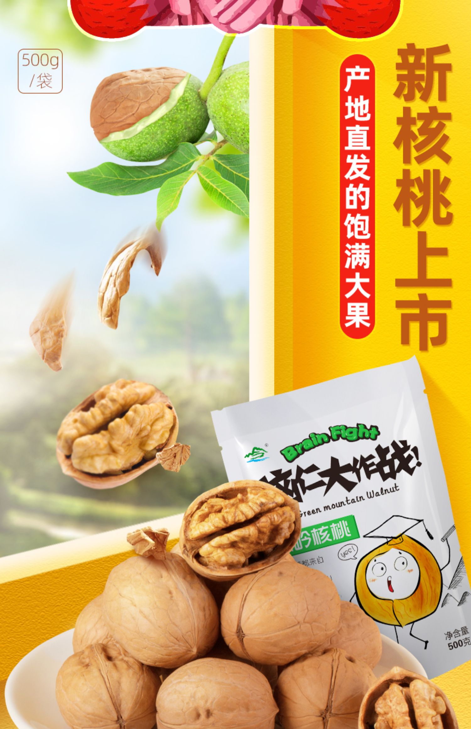 【绿岭火猴】太行山薄皮手剥核桃500g*2箱