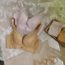 Special cabinet single ~ self-leaving giant good wearing small breasts to gather cloud sensation cotton no steel ring underwear BC thin soft steel ring bra