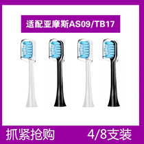 Adapted Boom Daya Moose Electric Toothbrush Head ASTB09 TB17 Sound Wave Universal Brush Head D1008 1006