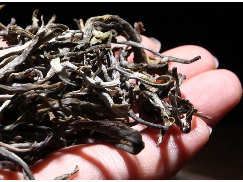 古树单株 帕沙古树生散茶60g 2017早春新茶