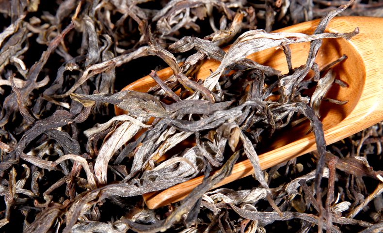 昔归古树春茶 生散茶250g 云南纯料普洱毛料茶叶