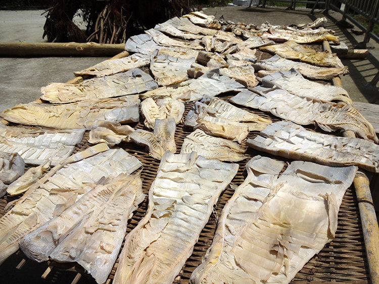 福建闽东农家自晒野生嫩笋干春笋干干货