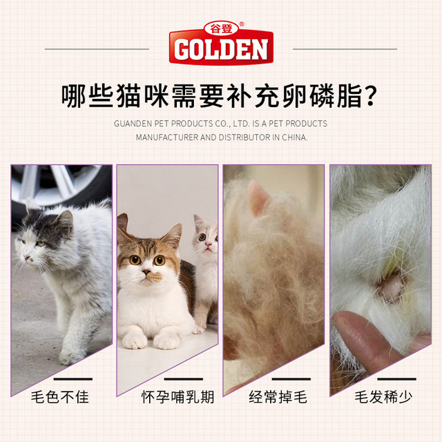 Gudeng lecithin fish oil particles 300g cat hair cheek beauty hair skin care nutrition health products cat special bright hair Gudeng lecithin fish oil particles 300g cat hair cheek beauty hair skin care nutrition health products cat special bright hair