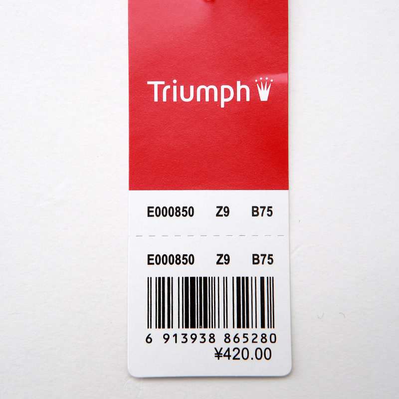 Triumph/黛安芬清芬弥漫聚拢厚杯文胸内衣E000850产品展示图1