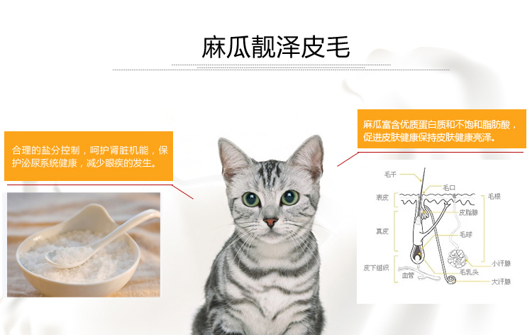 麻瓜功能粮香菇牛肉祛毛球猫粮10kg宠物食品粮批发