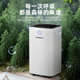 Oujing dehumidifier 가정용 침실 제습기 제습기 Qingyin 지하실 수분 제습기 공기 건조 작은 옷 건조 제습기 건조 Oujing dehumidifier 가정용 침실 제습기 제습기 Qingyin 지하실 수분 제습기 공기 건조 작은 옷 건조 제습기 건조