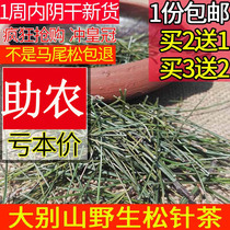 Pine needle masson pine new goods Pine needle week new goods Dabie mountain dry pine needle Fresh pine needle Masson pine needle