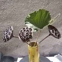 Natural handmade dried lotus with seeds dried lotus decoration real lotus leaf with Rod family shop shooting props