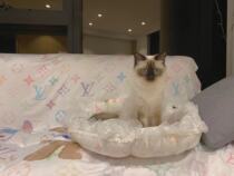 f4 No refund no change no refund in the middle no refund no blackening