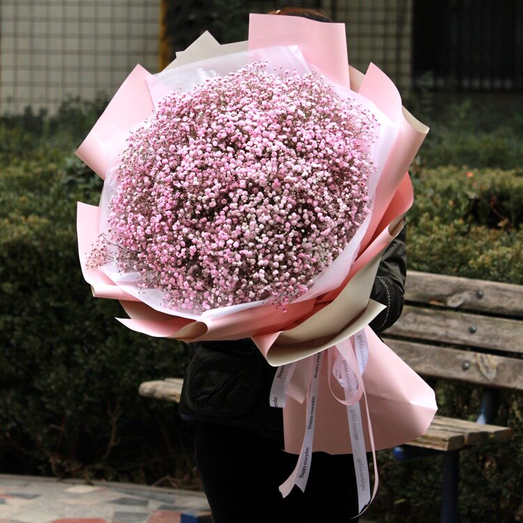 西安咸阳鲜花店鲜花速配送满天星花束礼盒粉色蓝色彩色满天星_7折现价