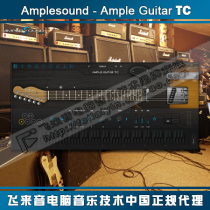 AmpleSound sample Guitar - AGTC electric Guitar soft sound source plug-in