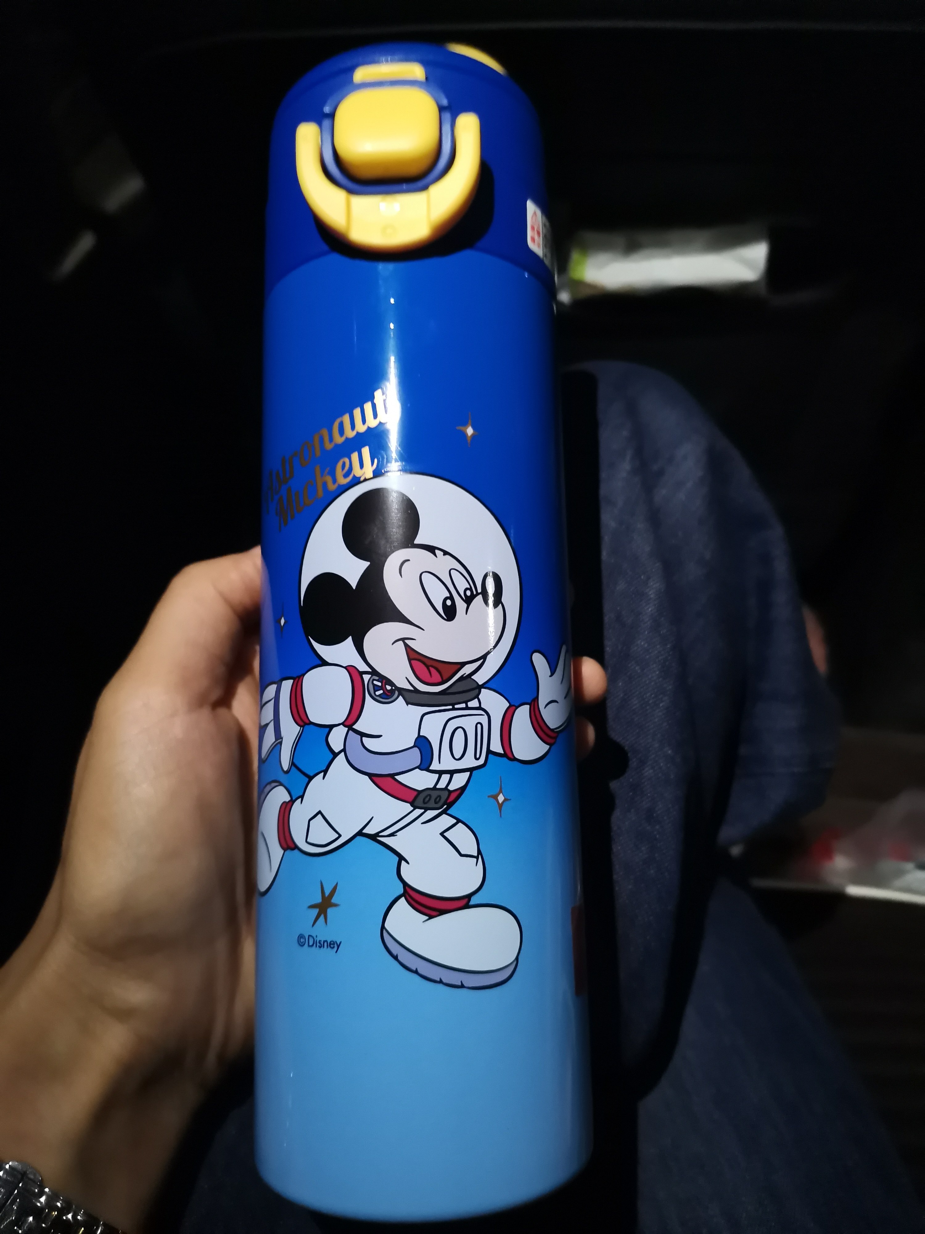 迪士尼儿童草莓熊随手保温杯带杯套双饮316钢小学生专用吸管水杯