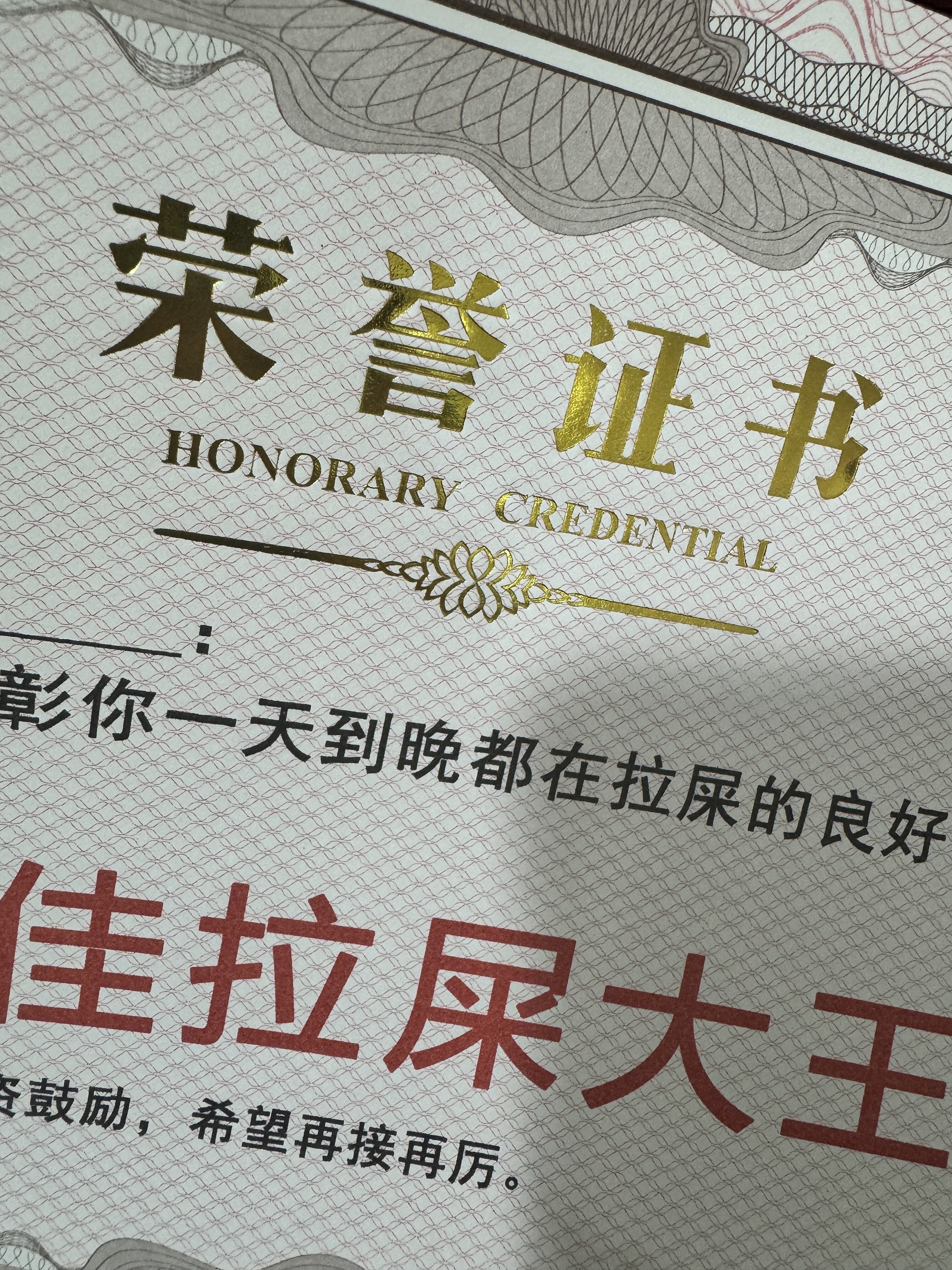 好闺蜜的惊喜礼物创意放屁大王摆烂大王奖状可定制专属搞怪搞笑奖状