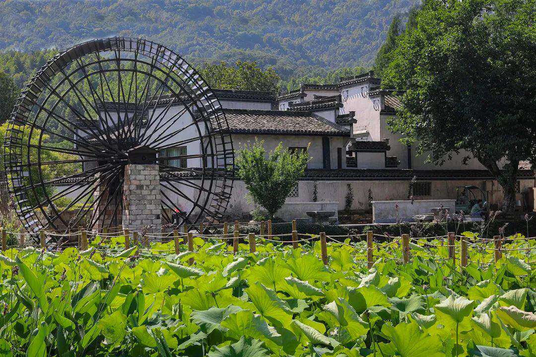 【黄山黟县天气预报】黄山黟县最新实时天气,黄山黟县旅游指数/交通