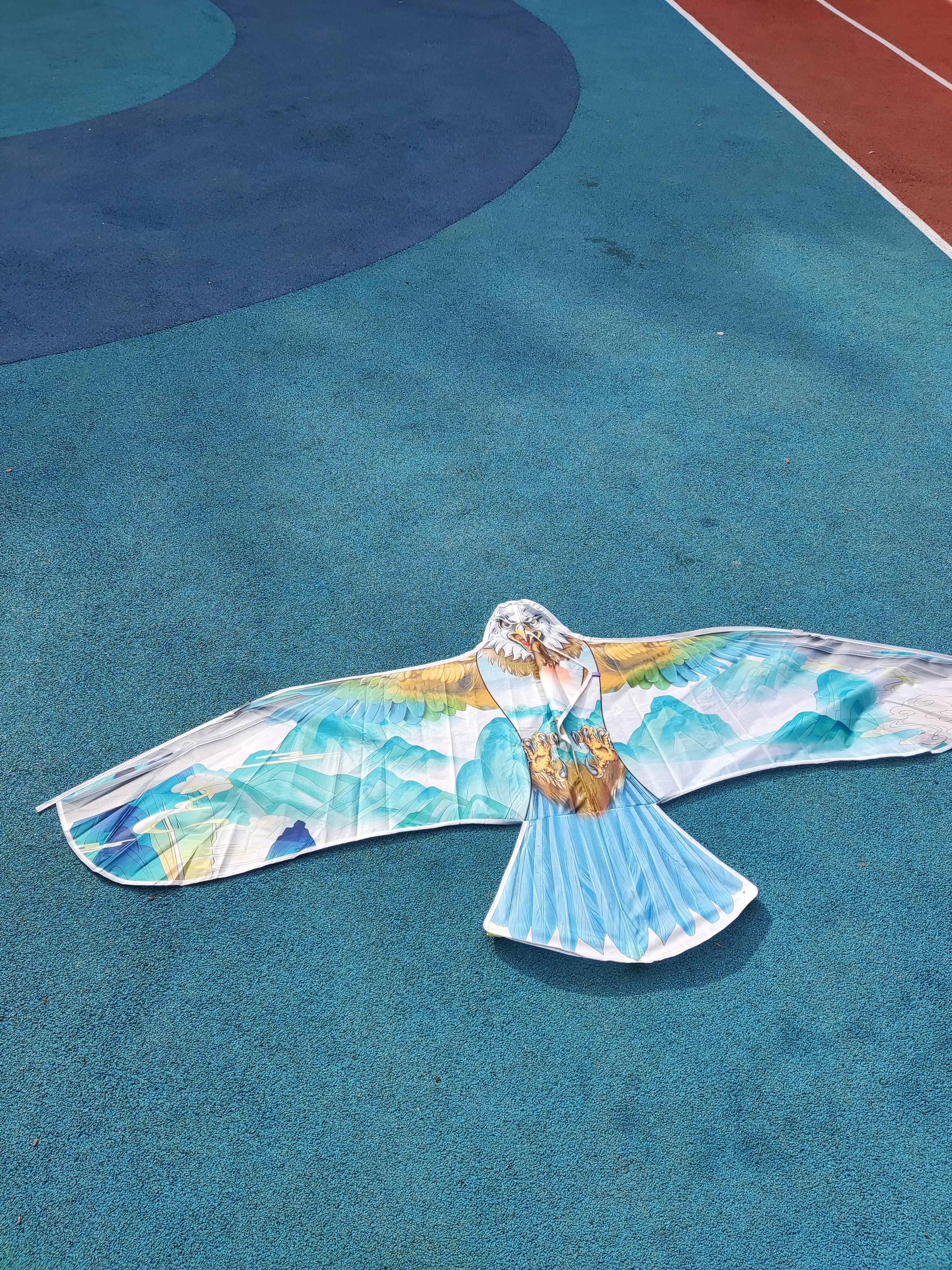 老鹰风筝大人专用儿童微风易飞2025年新款高档潍坊成人大型风筝