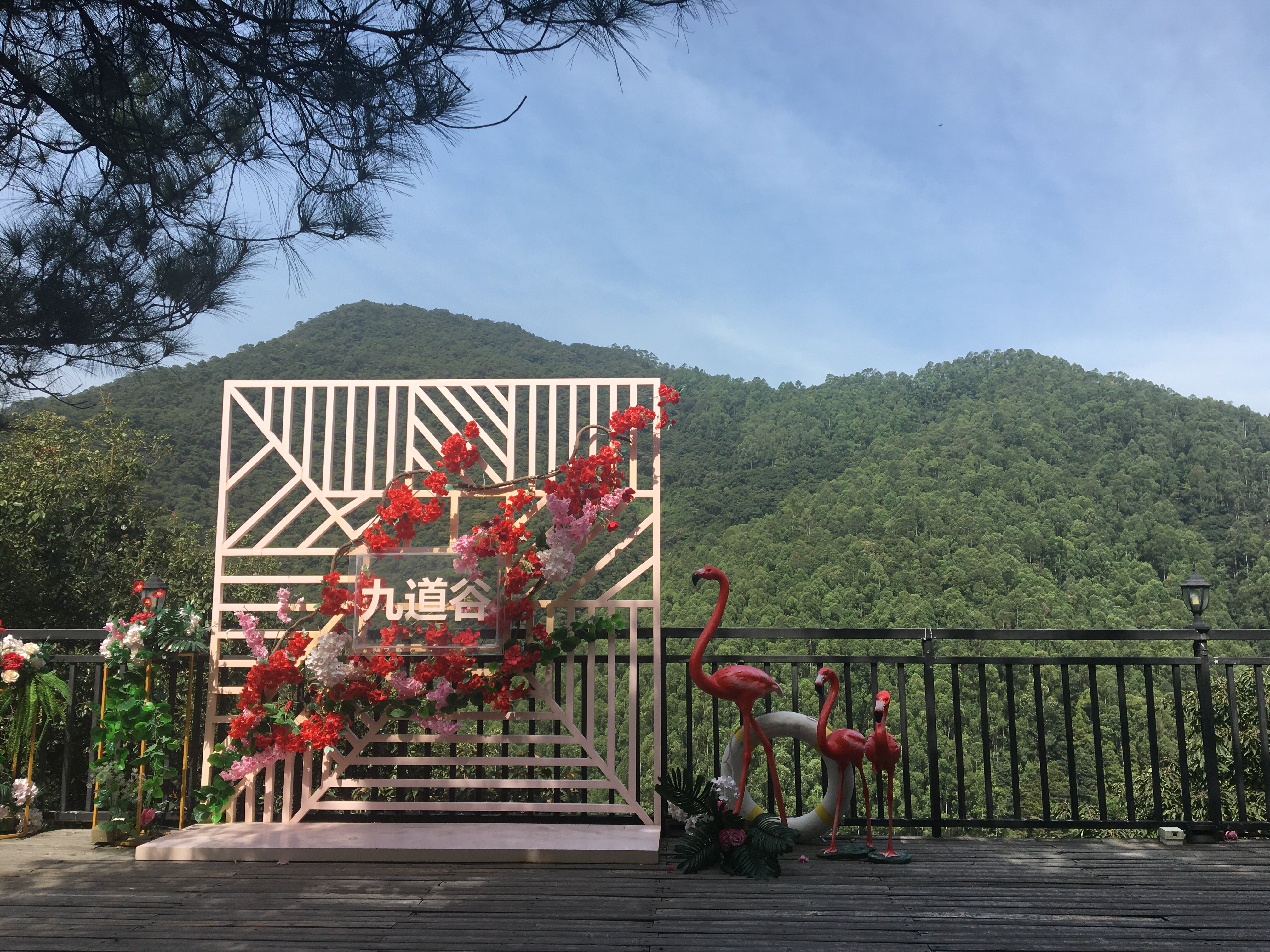 文旅项目招商推介佛山市九道谷漂流景区