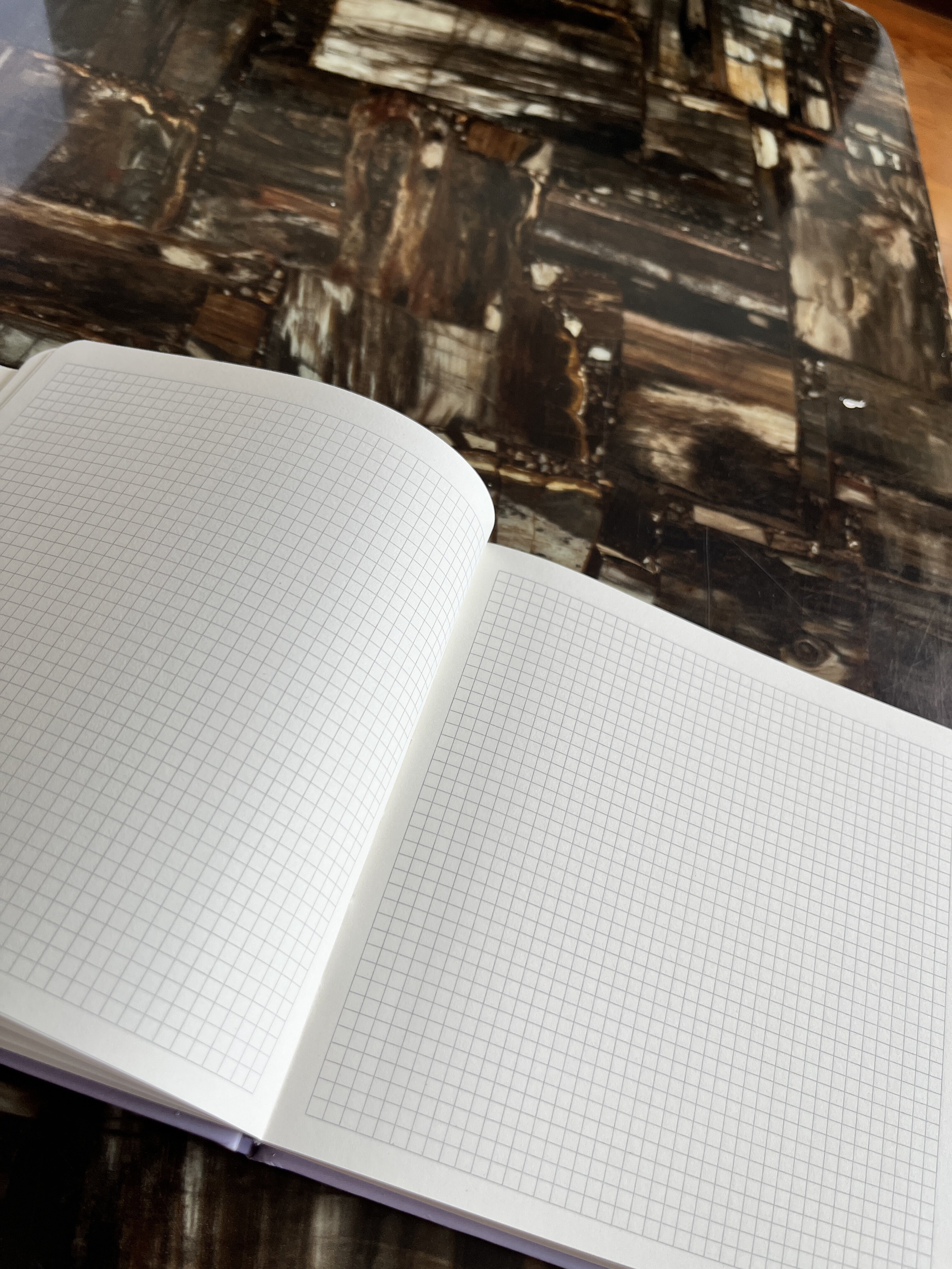 本少女心文艺精致小仙女手杖方格本小学生女生本子方形笔记本可爱风