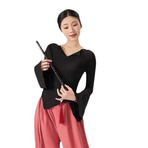 댄스 의상 성인 클래식 댄스 민속 댄스 의상 바디 운율 원사 메쉬 공연 의상 중국 댄스 연습 예술 시험 의상 댄스 의상 성인 클래식 댄스 민속 댄스 의상 바디 운율 원사 메쉬 공연 의상 중국 댄스 연습 예술 시험 의상