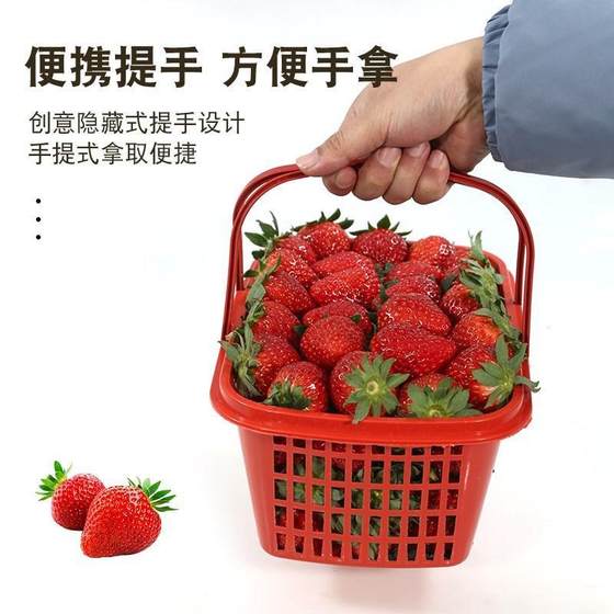플라스토 플라스토