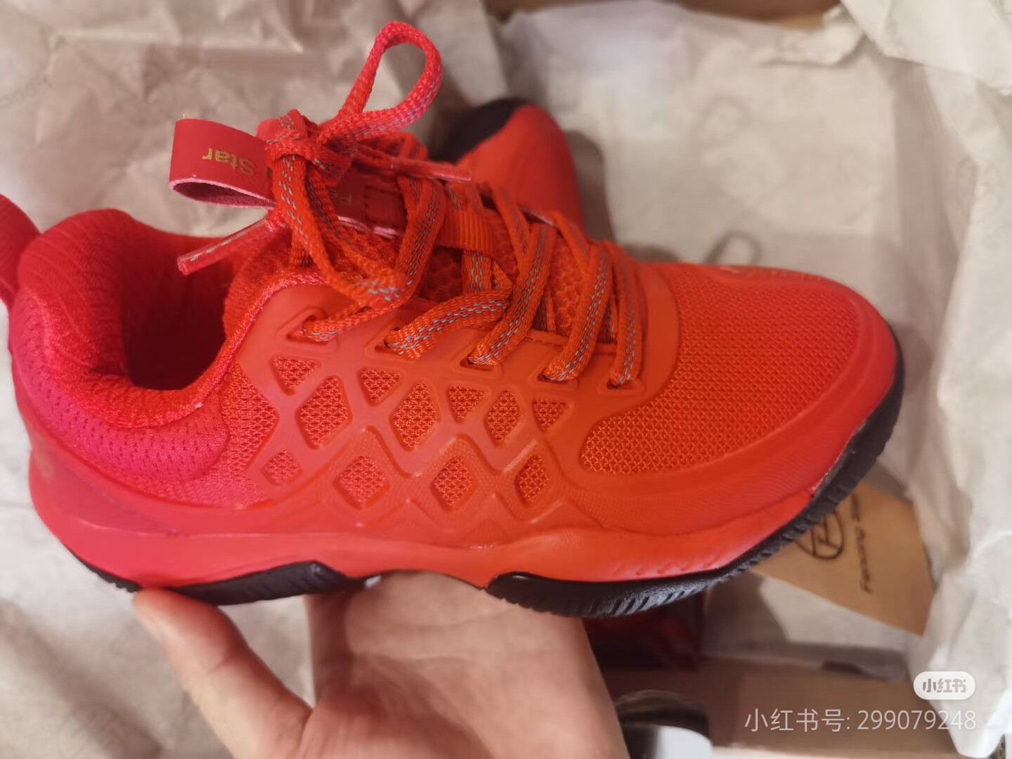 新款升级二代红珊瑚击剑鞋儿童成人专业比赛训练剑鞋4色可选