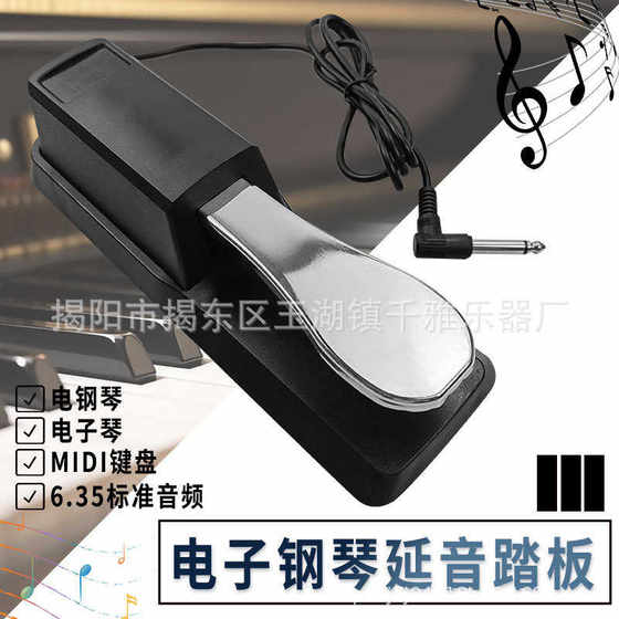 Piano sustain pedal Electronic piano electric piano synthesizer sustain pedal universal sustain pedal instrument accessories
Piano sustain pedal Electronic piano electric piano synthesizer sustain pedal universal sustain pedal instrument accessories