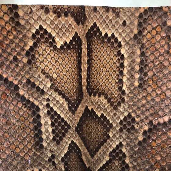 Erhu Python Skin Yuehu Zhonghu Zhamunian Rewapu 비행 진양소 피부 가오후 Qinskin 피부 피부 Erhu Python Skin Yuehu Zhonghu Zhamunian Rewapu 비행 진양소 피부 가오후 Qinskin 피부 피부
