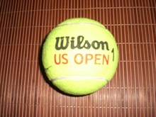 Открытый чемпионат США по теннису