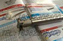 The T-SLOT cutter 20 TS20-C16-10