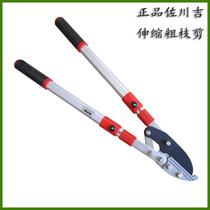 Taiwan imported Sagawa Yoshiyoshi 1245TA telescopic handle coarse branch scissors Strong shear extended handle gardening tools