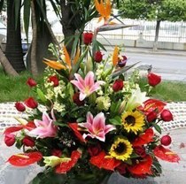 Blessings and condolences to visit small flower baskets Shanghai flowers Courier City city Shanghai flower shop high-grade flowers