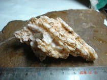 13879 Xinjiang hammeed horseshoe mountain surface with wind Ling stone