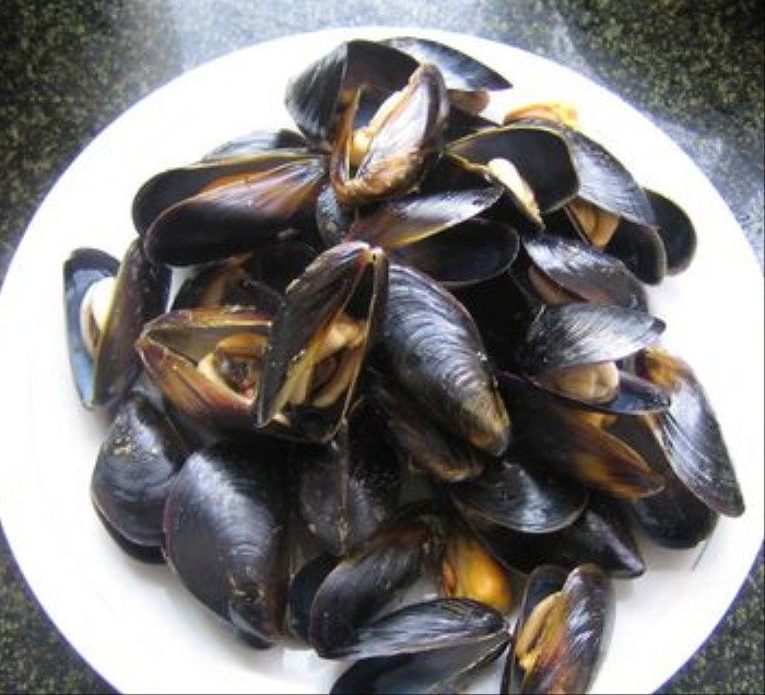 连云港特产新鲜海鲜 优质鲜活贝类黄海产海红 贻贝 淡菜 新鲜上市