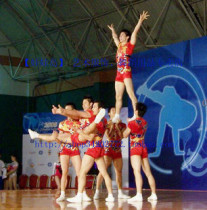 Dance supplies public aerobics bodybuilding gymnastics competitive clothing competitive aerobics clothing