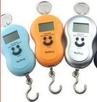 Handheld Scale Electronic Scale Portable Electronic Weighing Wrap Weighing Spring Scale Portable Weight 20kg 40kg
