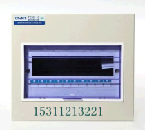 Zhengtai Lighting Distribution Box Ming Installed Concealed 10 Circuit PZ30 Series PZ30 - (R) 10