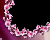 2009 New version of the wedding dynamic border superimposed material