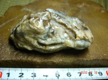 43 Xinjiangs Robubo surface black protein stone in the surface