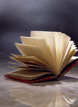 All kinds of web page automation Automatic processing Software program development Custom development All kinds of software tools