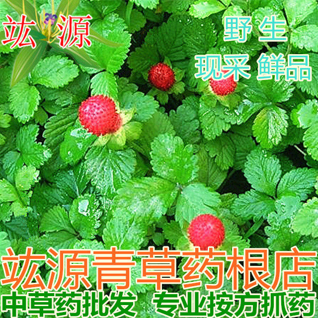 青草药根店 新鲜 野生 三脚虎 和尚头草 蛇莓 龙吐珠 倒地枚 现采