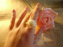 Retro) by the hand of the hand) The School of the Faculties of the Faculties)) The Wind of the Republic) The ring has been out of the loft to enjoy the heart lotus.