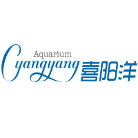 喜阳洋水族 Cyangyang