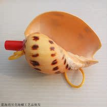 Sea Snail Shell Crafts Oversized Sea Snail Number Sea Snail Whistle Childrens Toy Small Snails Stall Hot Sell