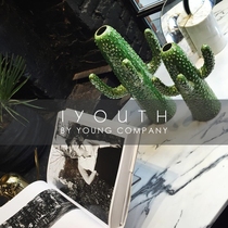 IYOUTH agent Danish brand SERAX green cactus minimalist modern fashion ceramic decorative vase